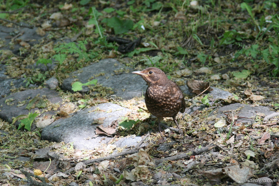 img_2048