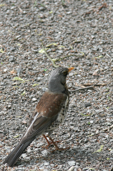 img_2095