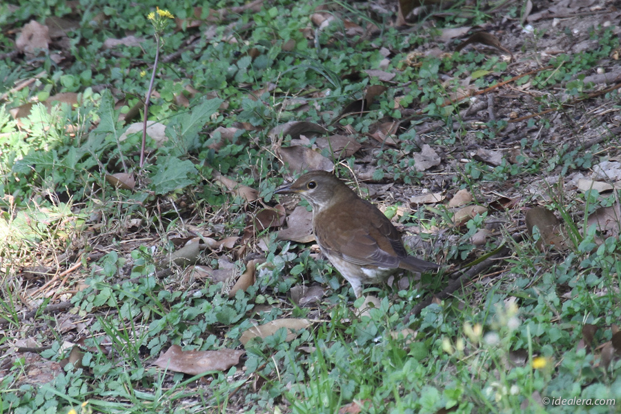 img_0656