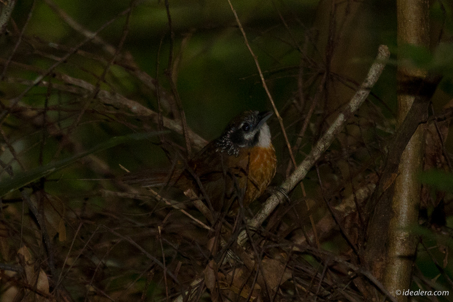 img_3253