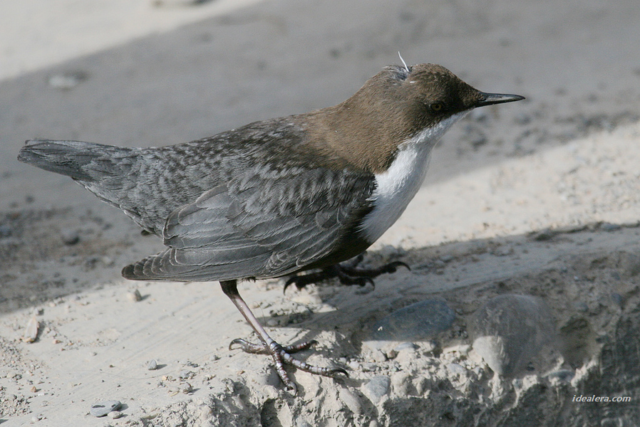 img_0450 img_0450