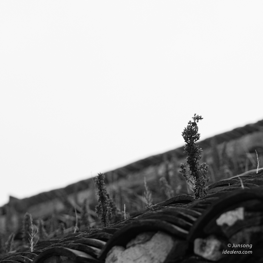 p1100326